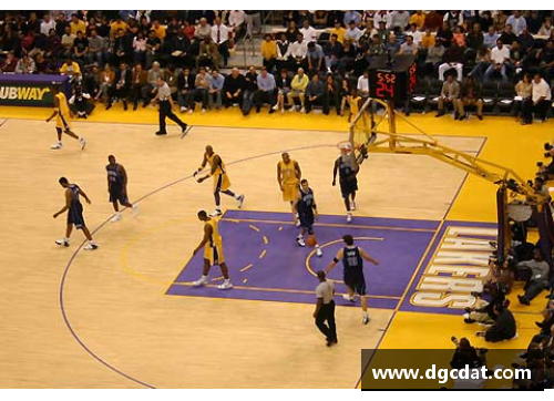 NBA黑白：揭秘球场上的阴暗面