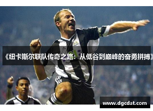 《纽卡斯尔联队传奇之路：从低谷到巅峰的奋勇拼搏》