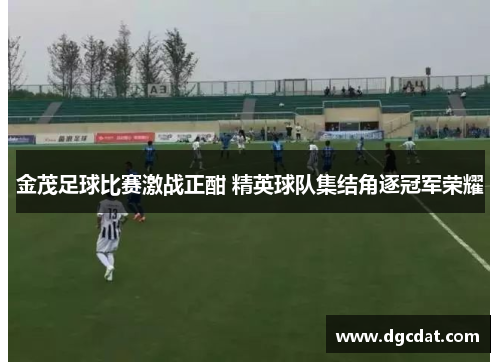 金茂足球比赛激战正酣 精英球队集结角逐冠军荣耀