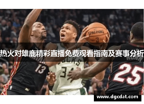 热火对雄鹿精彩直播免费观看指南及赛事分析