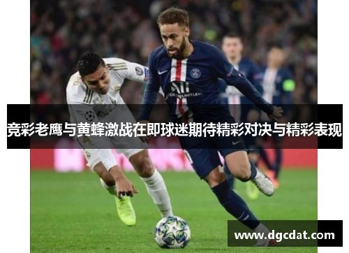 竞彩老鹰与黄蜂激战在即球迷期待精彩对决与精彩表现